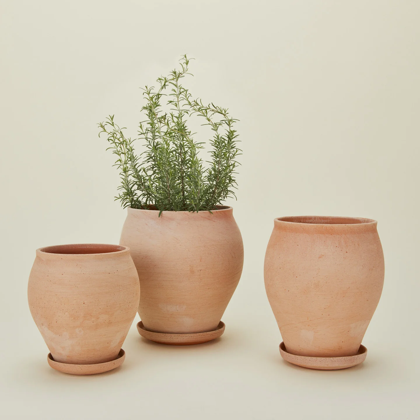 Delphi Pot - Image 2