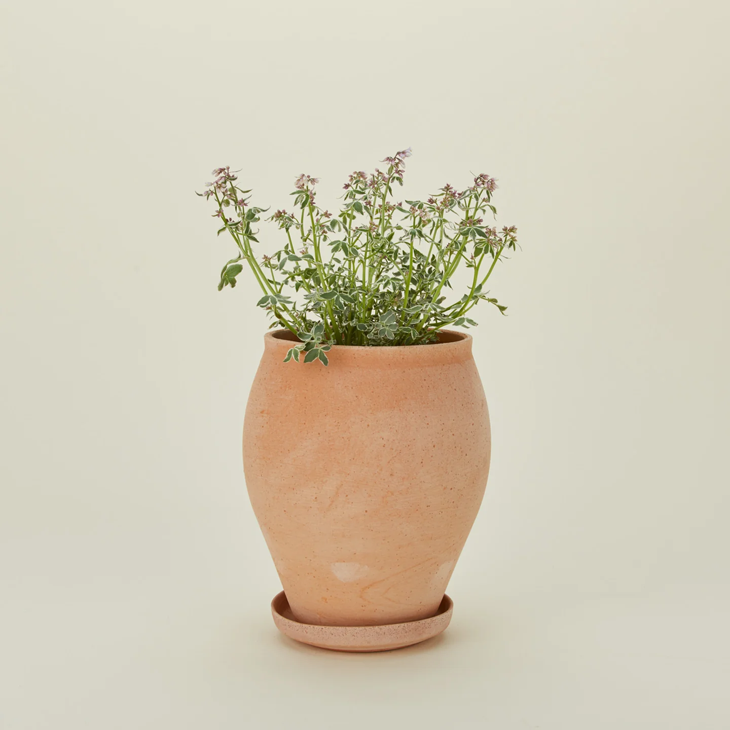 Delphi Pot - Image 4