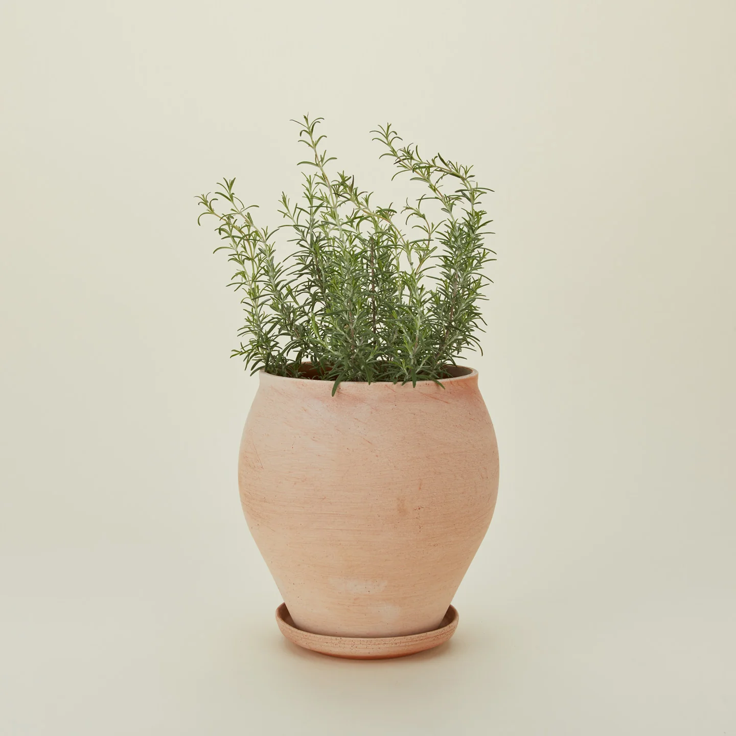 Delphi Pot - Image 6